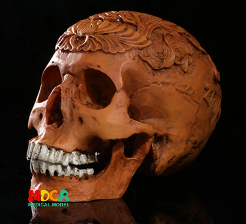 Человека. черепа модель медицинского моделирование учебного оборудования смолы череп орнамент подарок YTTG016