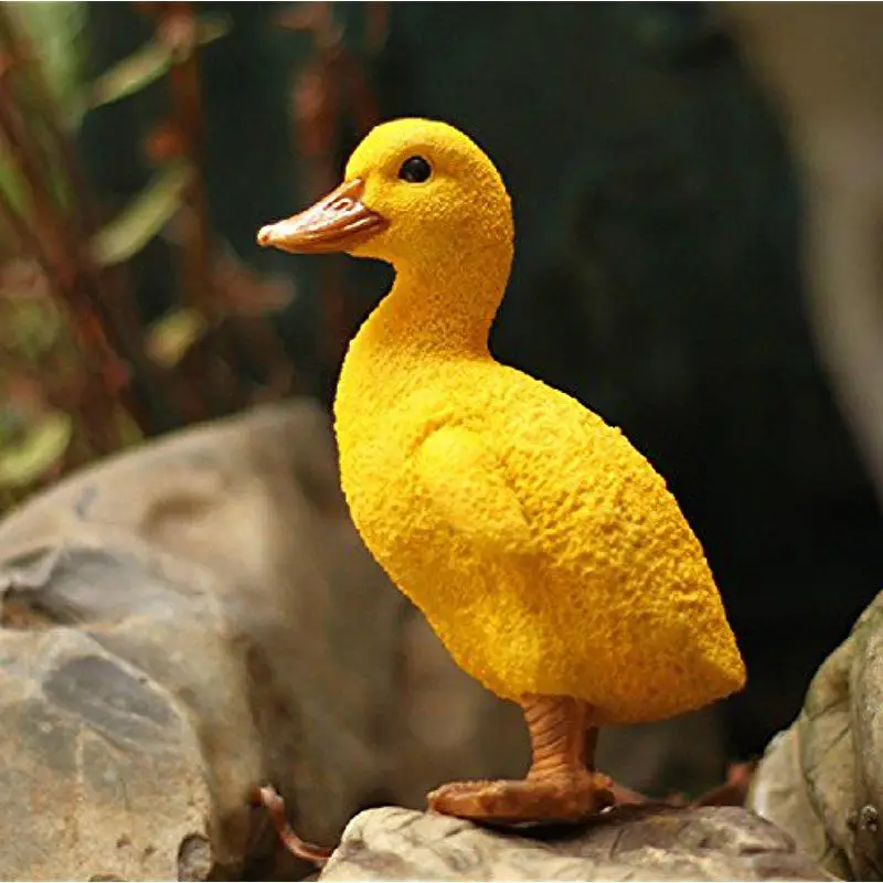 Утка дома. Флаффи дак. Оранжевая утка. Белые утки дикие. Pet duck.