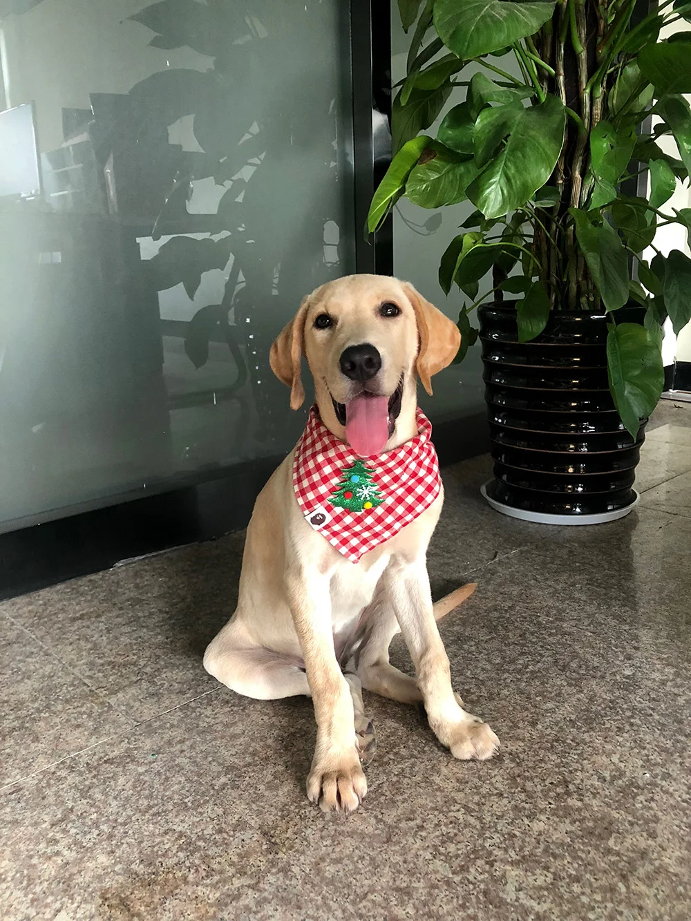 QQ20180906170140.jpg1