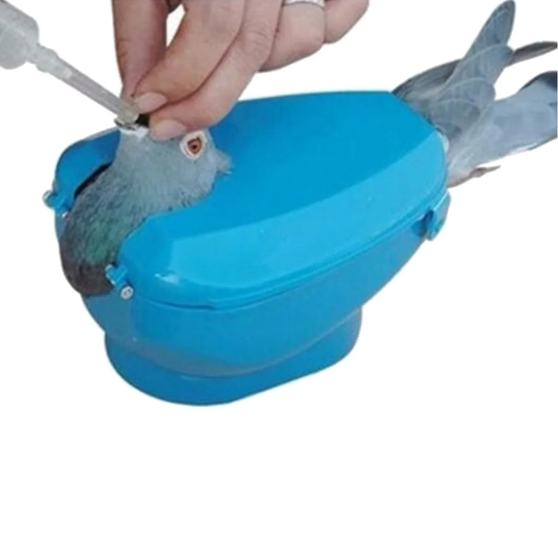 

Plastic Pigeon Holder Easy Bird Fixed Frame Rack Medicine Feeder For Injection Feeding Fixed Mount Bird Supplies Blue White