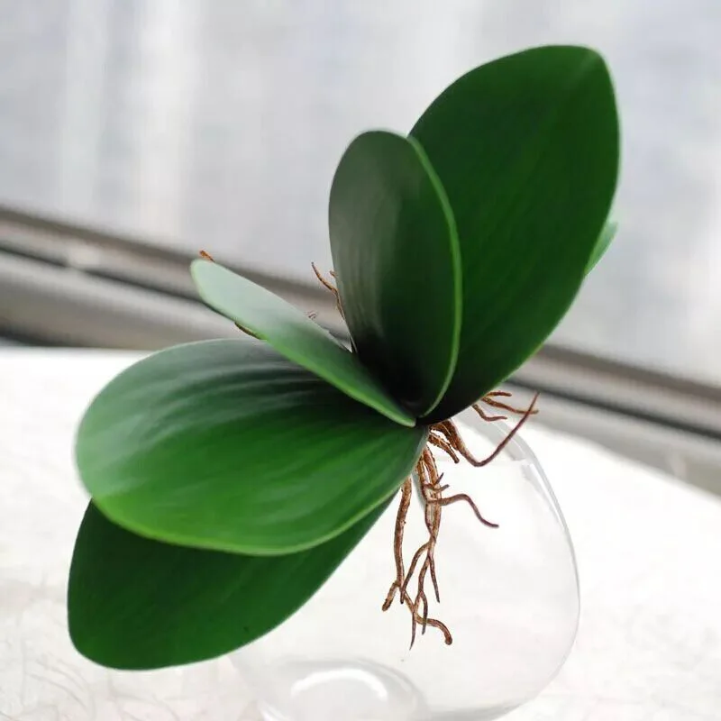 1 шт настоящий на ощупь фаленопсис искусственное растение с листьями лист декоративные цветы вспомогательный материал для цветочного оформления листья орхидеи