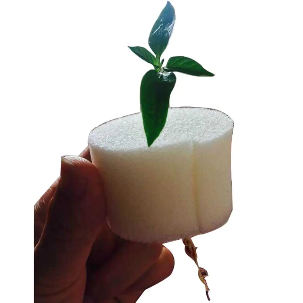 

Fixed Planting Sponge Dia 75/50/25mm Hydroponic Vegetable Seed Plant Gardening Soilless Seedlings Cultivation