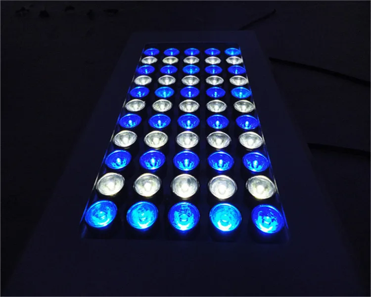 Plafoniere Led Per Acquari Marini Cinesi : Luce lunare led blu a ventosa youtube