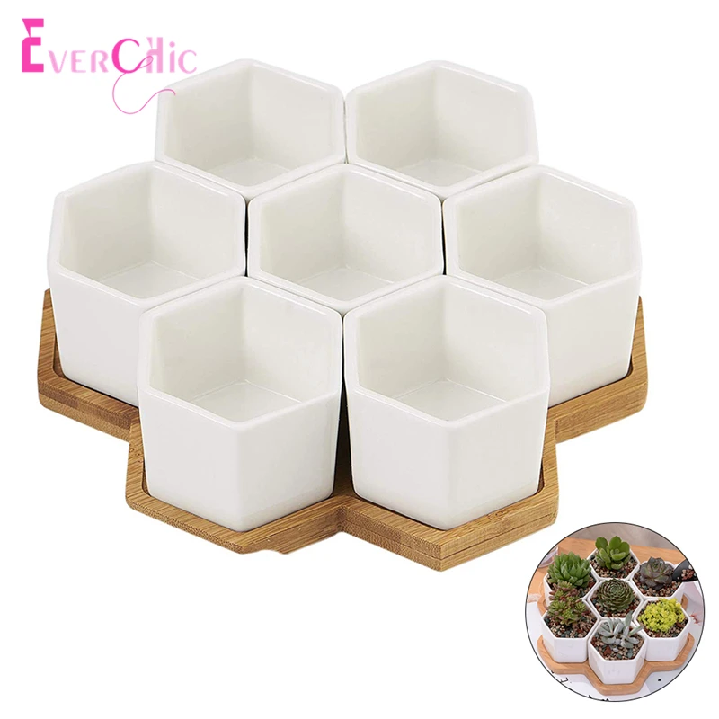 

Ceramic Luster Surface Succulent Plant Pot Cactus Bonsai Pots Flower Pot Container Planter Matt Glossy Garden Decoration