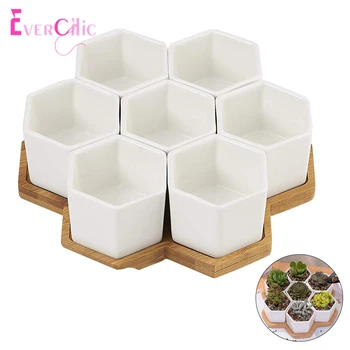 

Ceramic Luster Surface Succulent Plant Pot Cactus Bonsai Pots Flower Pot Container Planter Matt Glossy Garden Decoration