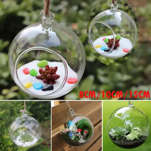 

8/10/15cm Glass Ball Vase Glass Aquarium Fish Tank Hanging Flower Pot Hydroponics Plant Vase Home Decoration