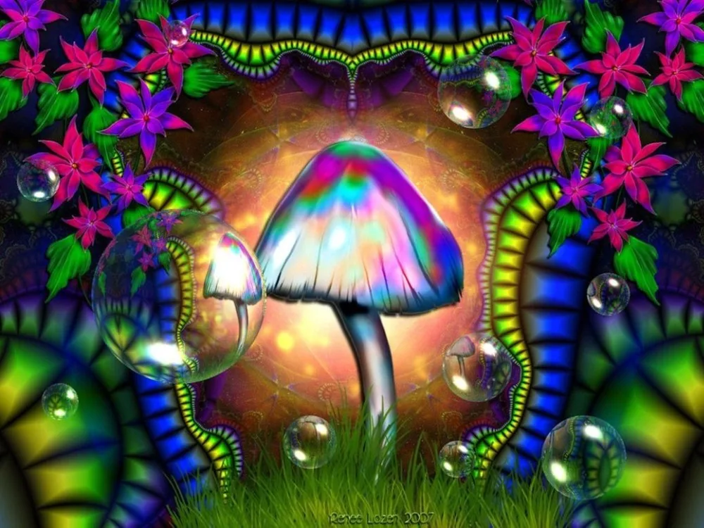 Home Decor Magic mushroom 3-Silk Art Poster Wall Sicker Decoration Gift