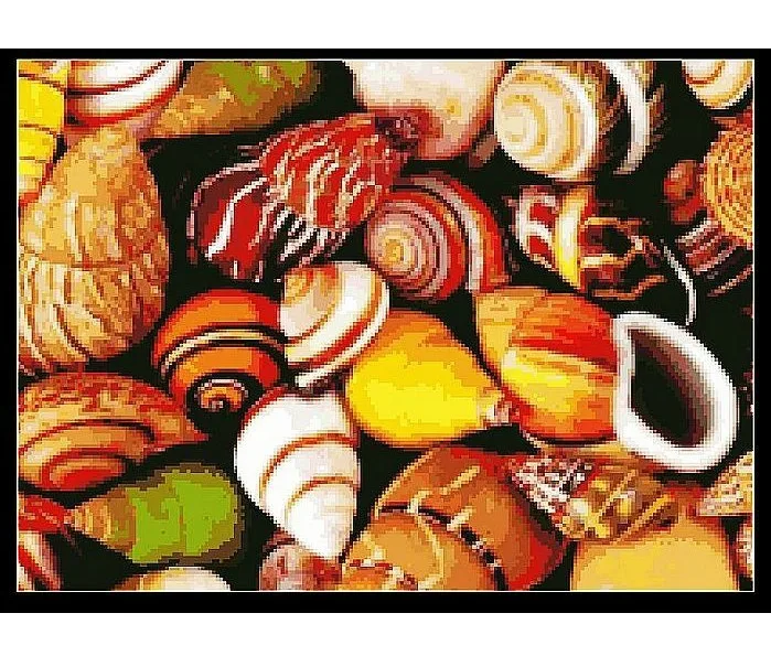 

Embroidery Package High Quality Cross Stitch Kits Conch Sea Snail Free Shipping