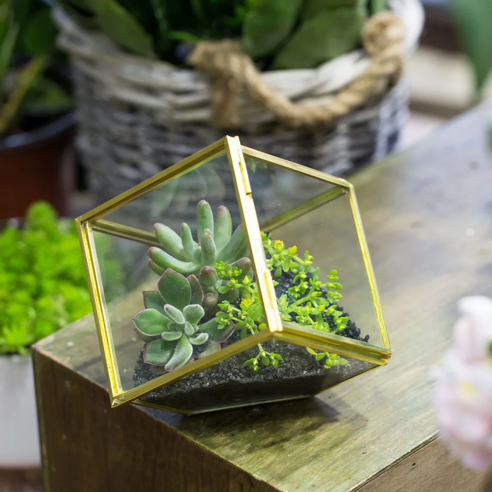 3.9inches Copper Brass Squares Inclined Cube Glass Geometric Terrarium
