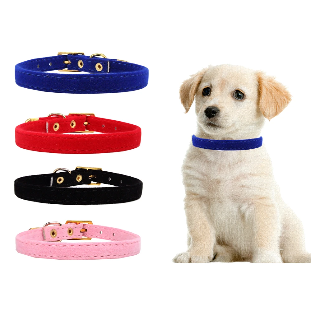 Venta al por mayor! collar aterciopelado perros pequeños y de 12 unids/lote, collar para perros y gatos 4 colores|Collares| - AliExpress