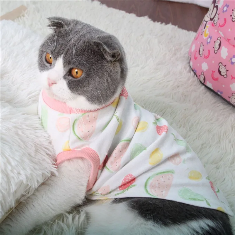 Весенне-осенняя одежда для кошек Одежда для маленьких собак Жилет для щенков Чихуахуа футболка с котом Пижама