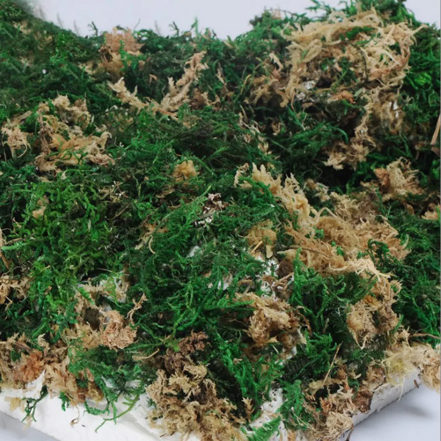 new grass model (5)