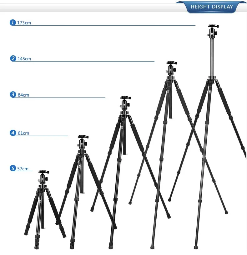 

R2004+G20KX Sirui DHL Tripod Ball Head For Digital DSLR Camera Professional Photo Studio Accessories Aluminum Camera Holder