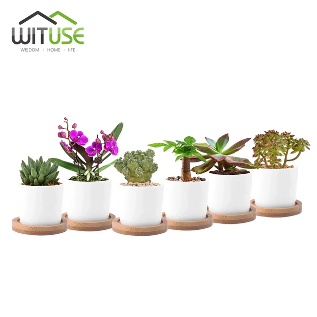 Wituse Round Ceramic Flowerpot Succulent Planter Teapot Like Bonsai Wituse Round Ceramic Flowerpot Succulent Planter Teapot Like Bonsai Pots Flower Pot Diy Desk Home Office