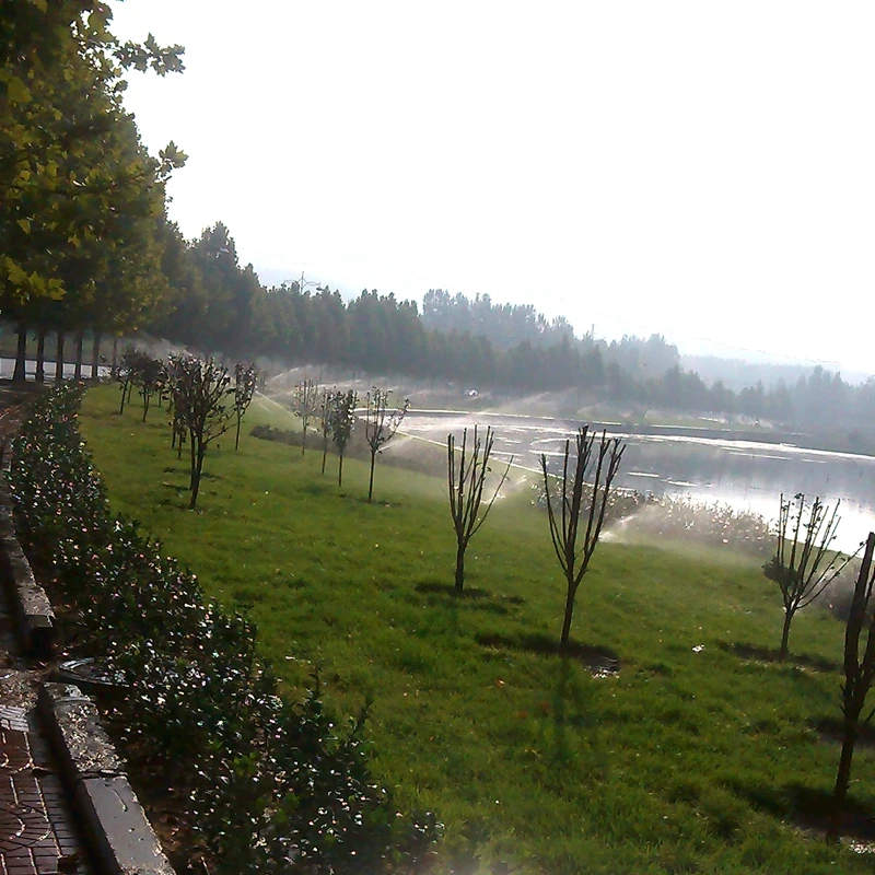 TB29WyqfFXXXXXUXpXXXXXXXXXX_!!2218089502