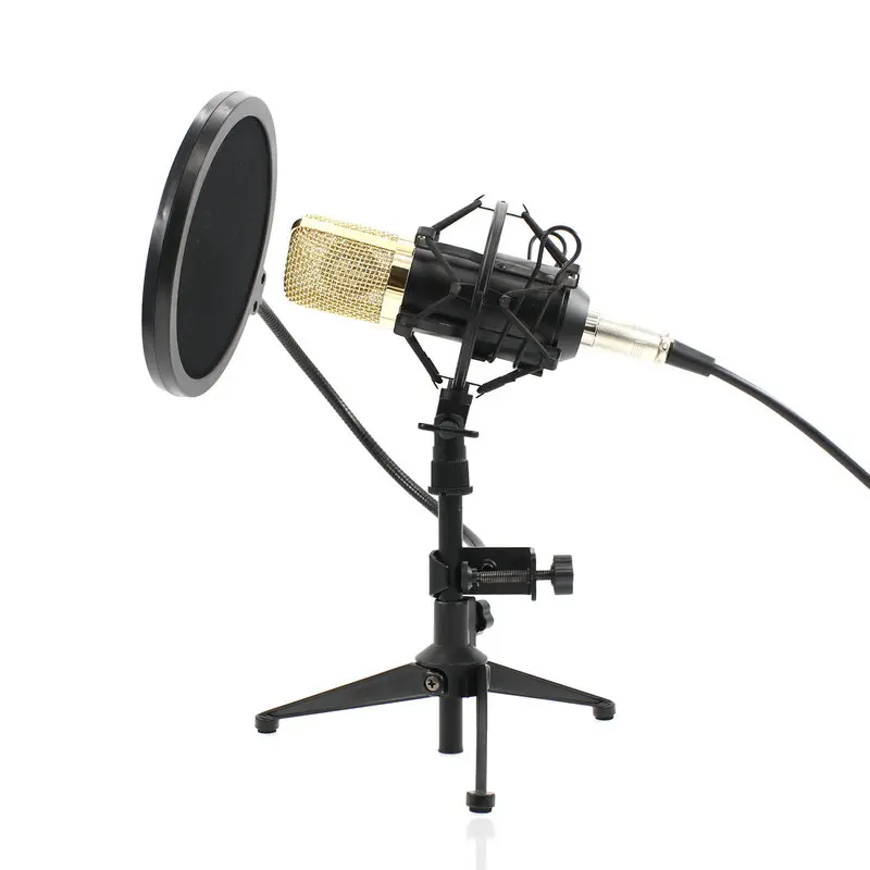 BM 700 BM700 Cardioid Pro Audio Studio запись голоса микрофон KTV караоке с металлическим штативом
