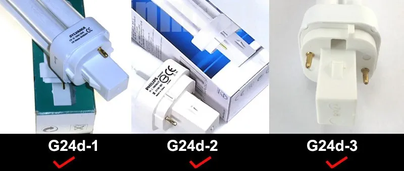 G24d