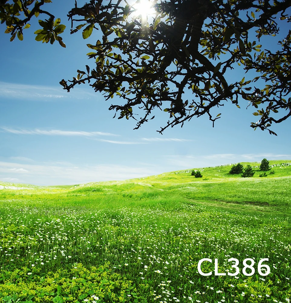 CL386