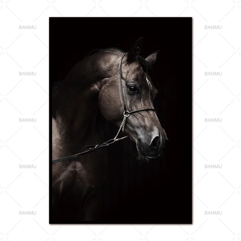 Новые поступления животные холст painitng печать лошадь настенные картины для гостиной художественное украшение картины без рамки - Цвет: WP0201-7