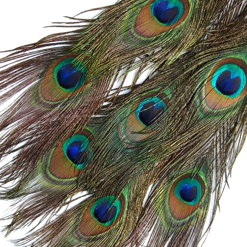 10 Pcs Peacock Eye Tail  For Crafts Halloween Costume Mask Wedding Decor