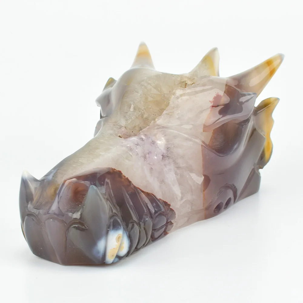 

5.5 '' Dragon Head Skull Sculpture Natural Geode Agate Carved Realistic Healing Crystal Skull Statue Home Decor Art Collection
