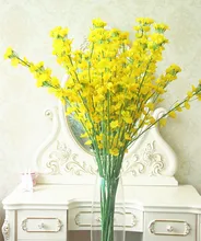 buy canola flower and get free shipping on aliexpress com