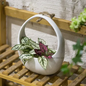 

Small White Round Hanging Ceramic Flower Pot Basket Vertical Garden Decoration Pot Succulents Plants Holder Wall Ceramic Planter