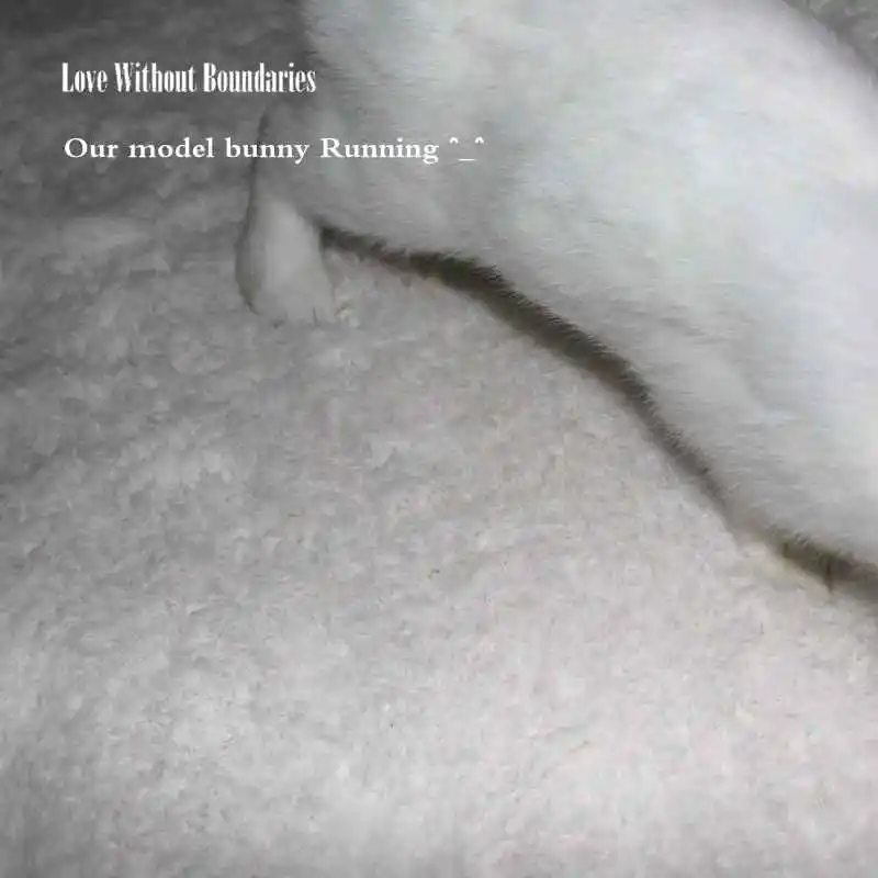 WHITE SNOW CARPET (9)