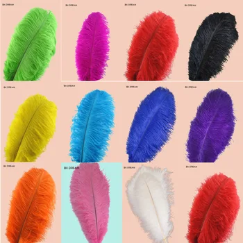 

Wholesale 50pcs/ 10-12 inch wedding party decoration multicolor ostrich feather 25-30 cm feather crafts