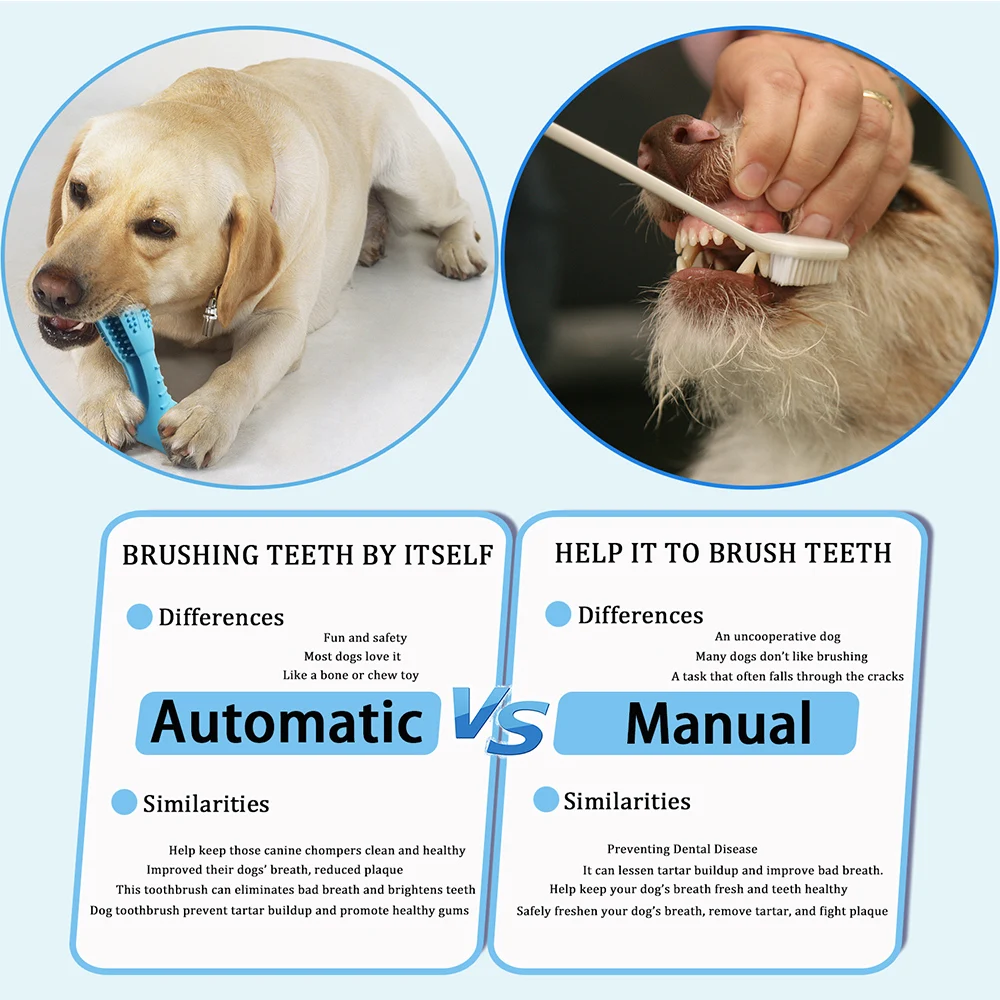 dog toothbrush 7