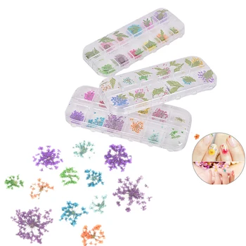 

For Epoxy Resin Pendant Necklace Jewelry Making Craft DIY Accessories Daisy Gypsophila Pressed Dried Flower Dry Plants