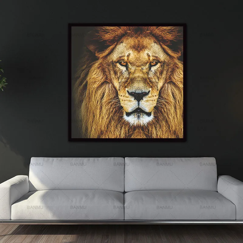 lion canvas prints wall