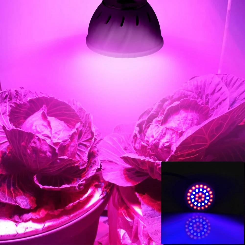 Низкая тепла E27 светодиодный светать завод культивирования держатель лампы для комнатных цветов 4/6/8 Вт Indoor светодиодный растущие 220 В 110 В