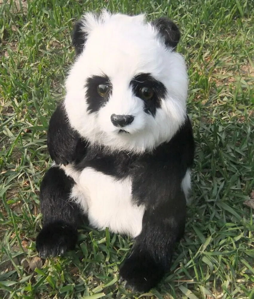 

cute simulation sitting panda toy lifelike white&black panda doll gift about 31x22x31cm