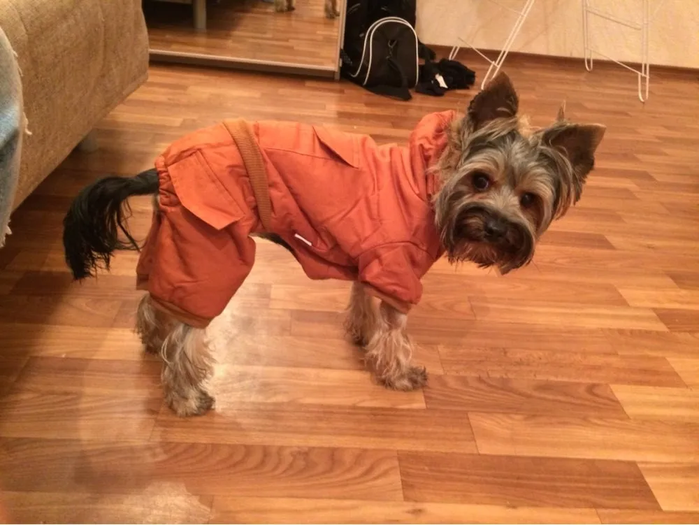 UT8fS6mXyxaXXagOFbXw