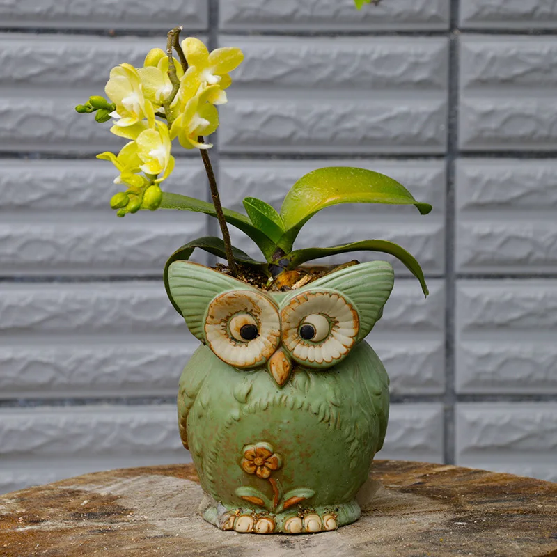 Мультфильм Сова в форме суккулент Завод керамический цветочный горшок украшение