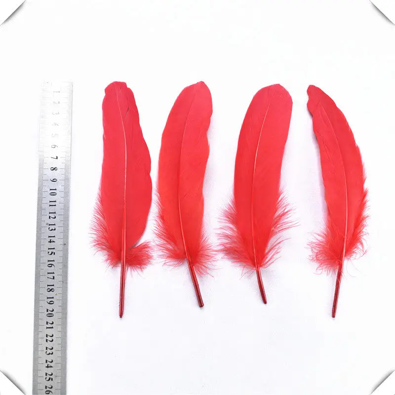 цветные перья. перо красного фазана. 5 перьев. утиное перо. поделки из перьев утки.