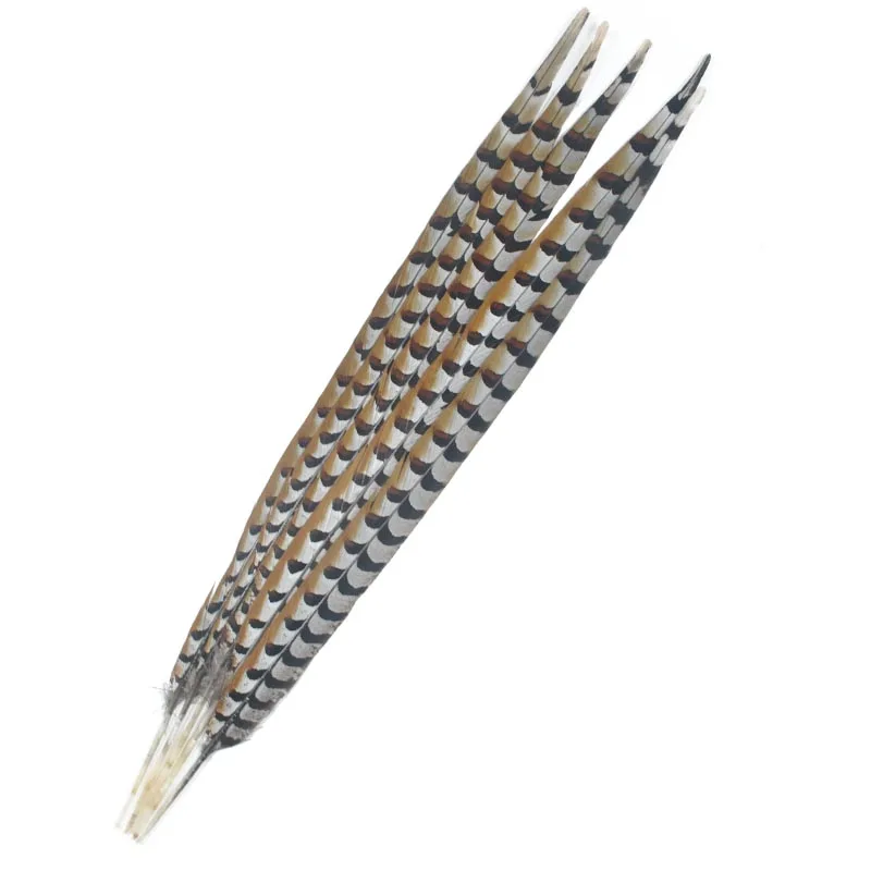 

Cheap and beautiful 60-70cm / 24-28 inch natural reeves pheasant tail feather used in carnival design and decoration