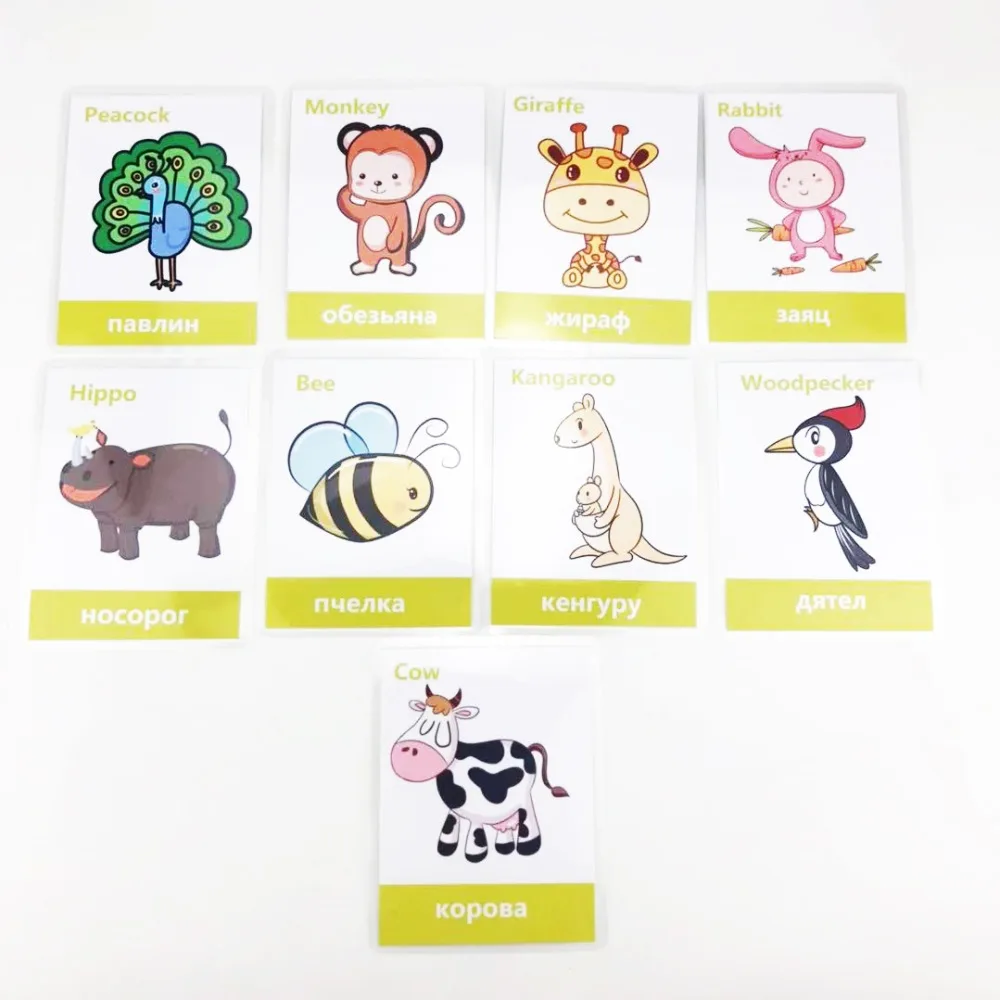 Cartões de Memória Flash para Crianças Sala de Aula Jogos de Memorie Frutas Legumes Aprendizagem Russa & Inglês Montessori Brinquedos Educativos 66 Pçs - Set 43 Online shopping