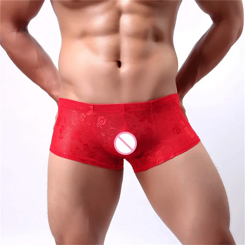LS504 red-1