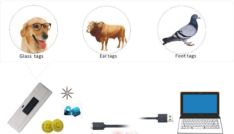 3d сканирование предметов. приспособления для проверки животных в зоопарках. сканер для чипов животных animal id. начать сканирование животное. сканировать животного.