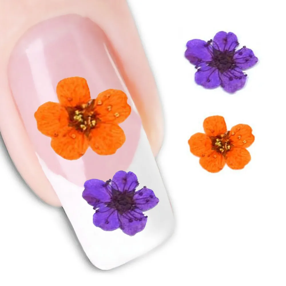 

12 Colors Dried Flowers Leaf Nail Decoration Natural Floral Sticker 3D Dry Beauty Nail Art Decals Jewelry UV Gel Polish Manicure