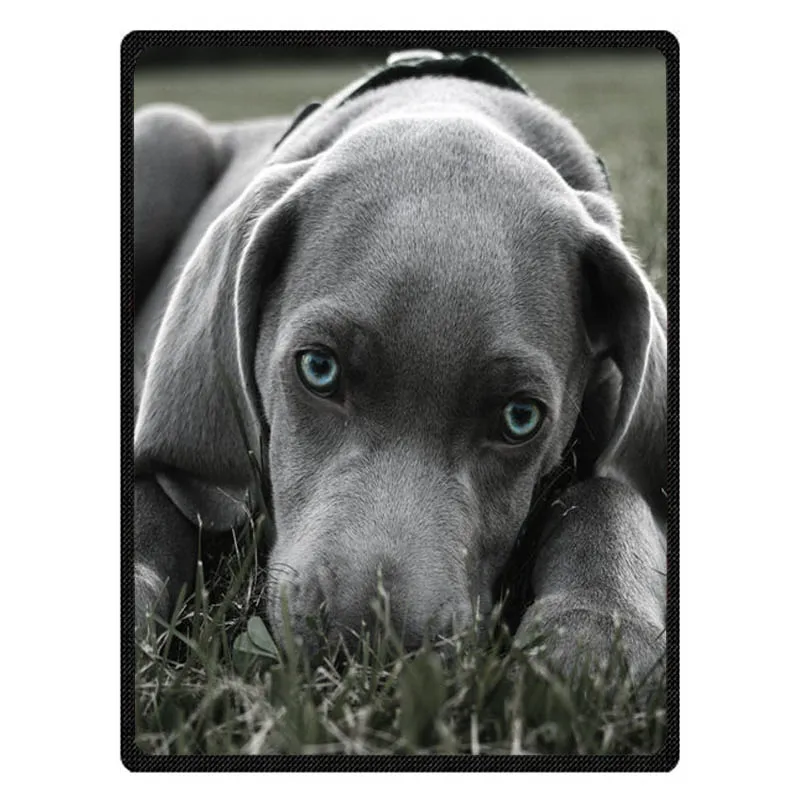 

Weimaraner Soft Warm Coral Fleece Plush Throw Blanket Sofa Bed Knee blankets Customize Baby Child Bedspread