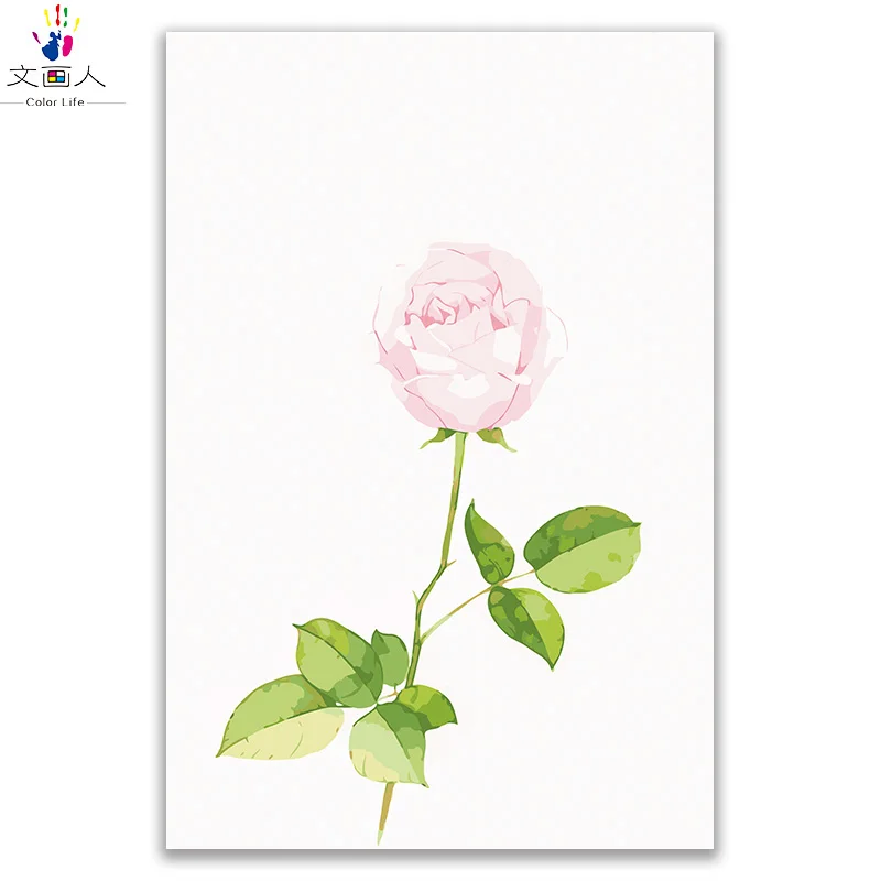 Растение цветок роспись маслом Роза изображения пронумерованы холст Рисование Раскраска по номерам цветы с краской наборы с рамкой Настенный декор - Цвет: 50072