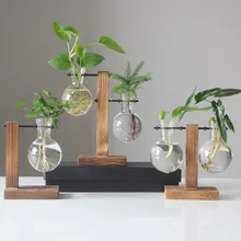 2019 nuevo hidropónico jarrones para plantas de flor olla transparente florero de vidrio de madera de mesa plantas hogar Decoración regalo