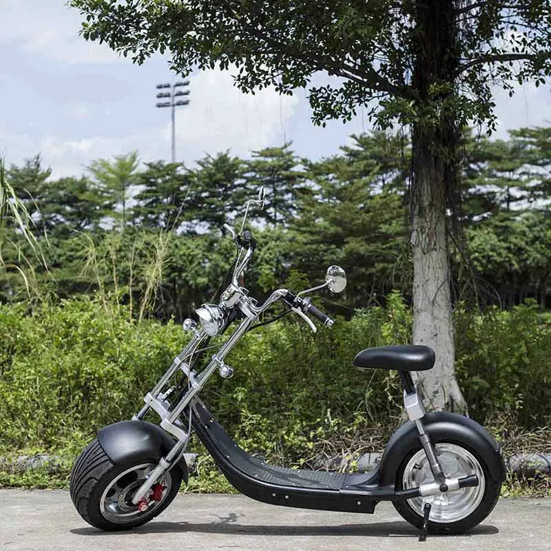 citycoco scooter (1)