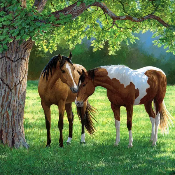 

Needlework diy 5D diamond Painting cross stitch animal picture full diamond embroidery lovers horses icon diamond mosaic pattern