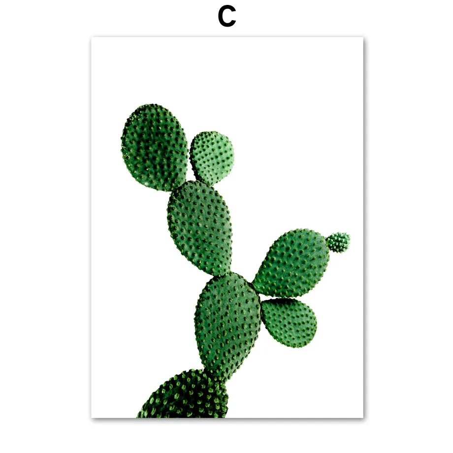 Свежий Зеленый Кактус большие тропические листья настенный Арт холст живопись растения скандинавские плакаты и принты настенные картины для гостиной - Цвет: C