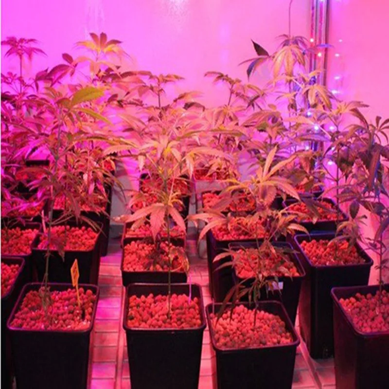 4594354776_170218062