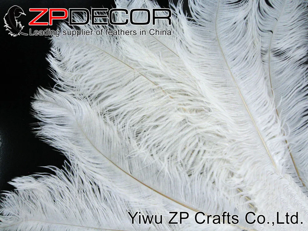 Ostrich Feathers, 10 Pieces - Large OFF WHITE Ostrich Plumes Dyed Drabs Feathers 19-24